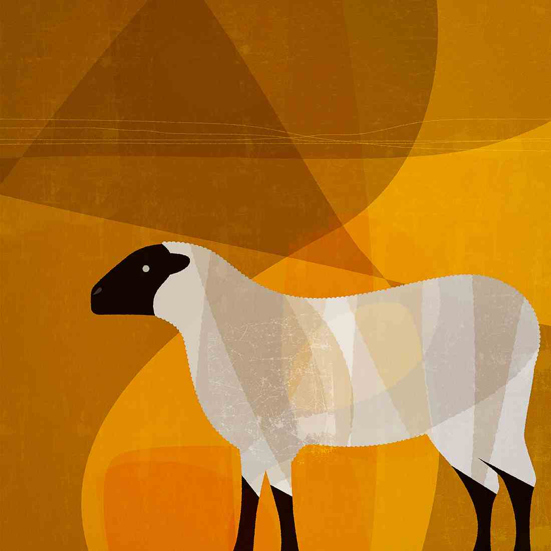 Paul Wearing: Lamb
