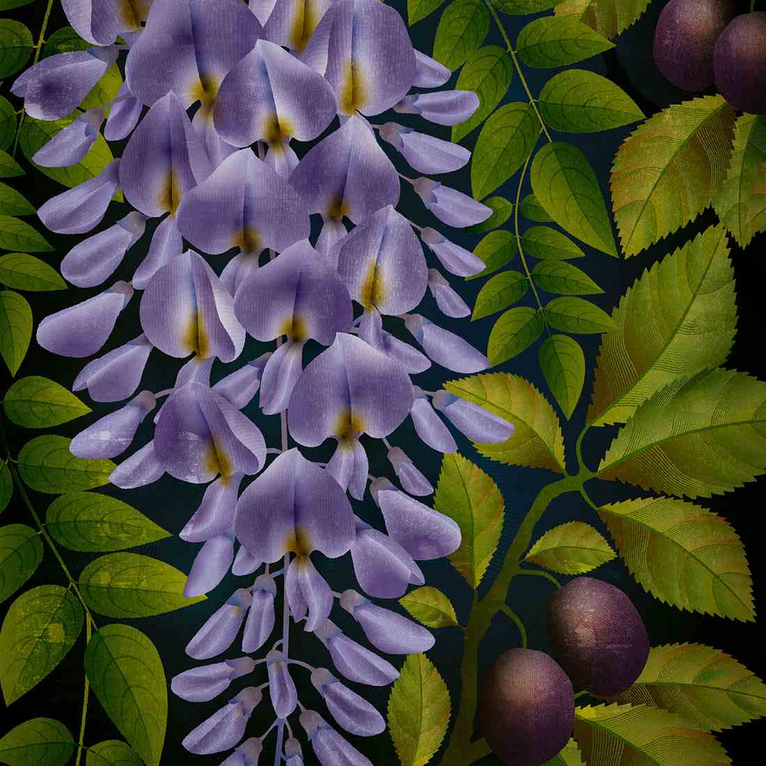 Paul Wearing: January 2026