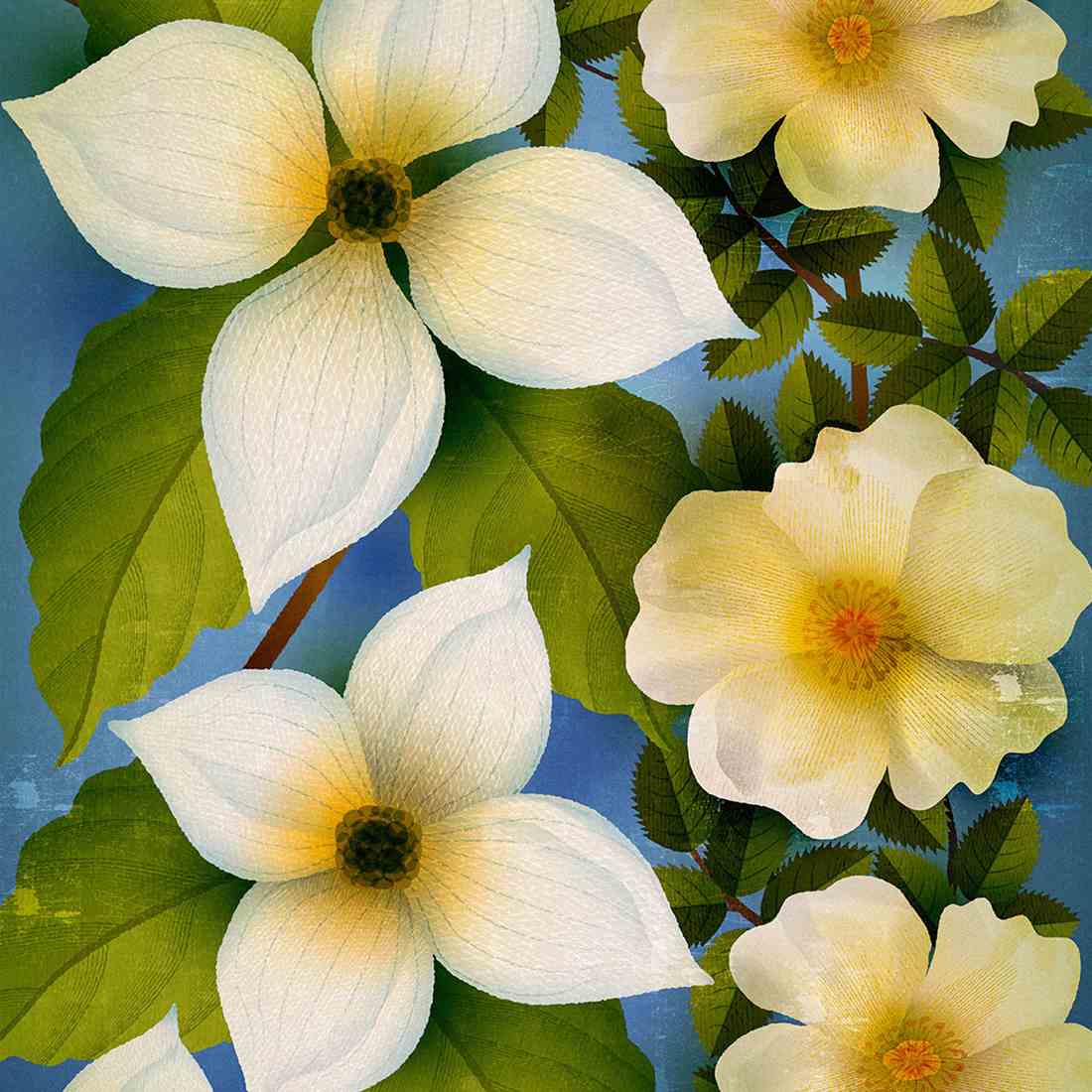 Paul Wearing: November 2025